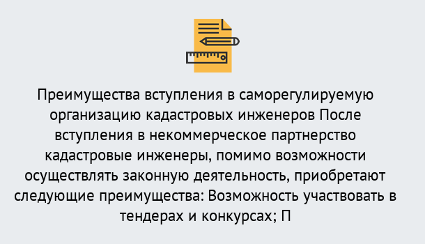 Почему нужно обратиться к нам? Сердобск Что дает допуск СРО кадастровых инженеров?