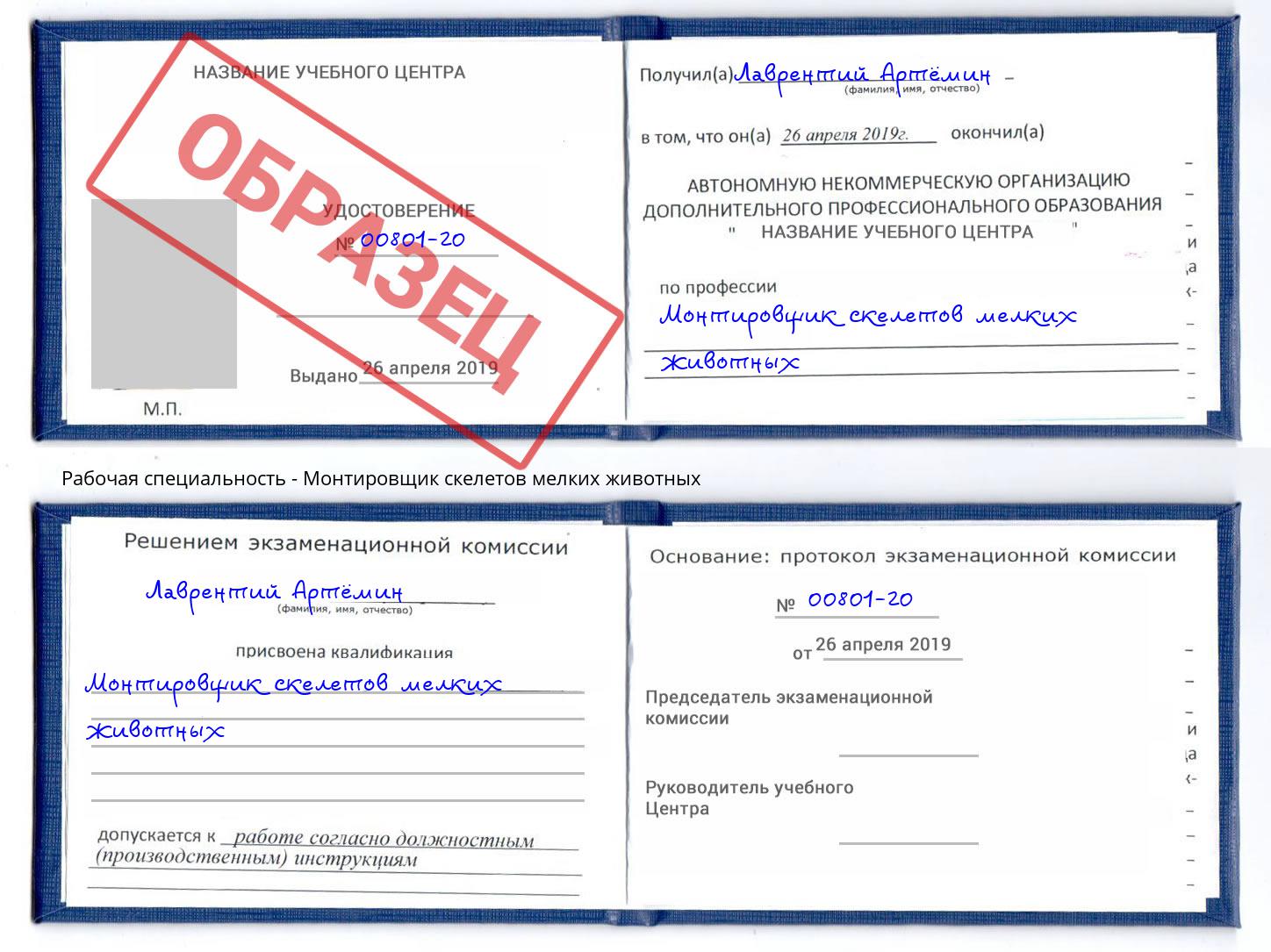 Монтировщик скелетов мелких животных Сердобск