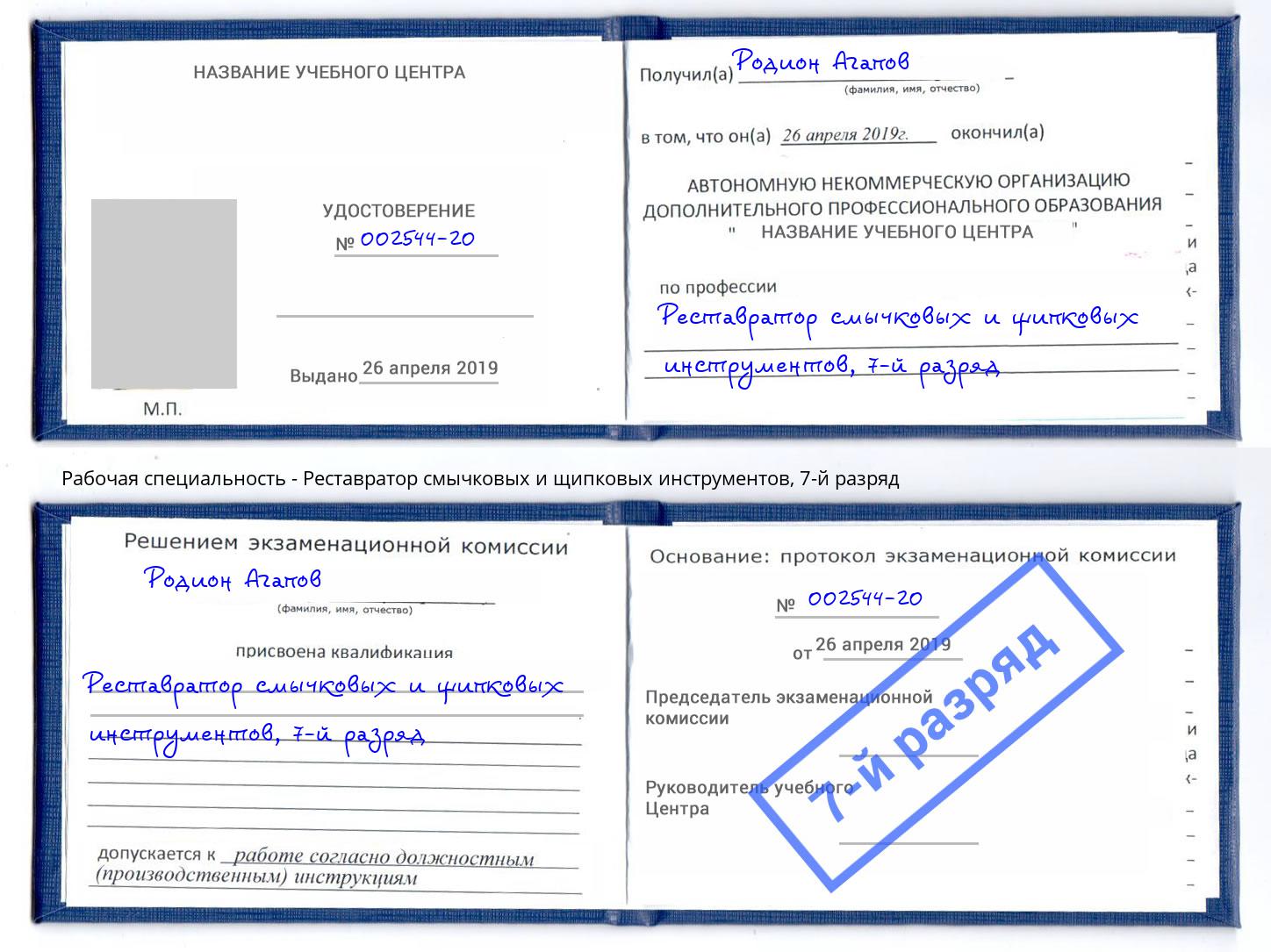 корочка 7-й разряд Реставратор смычковых и щипковых инструментов Сердобск