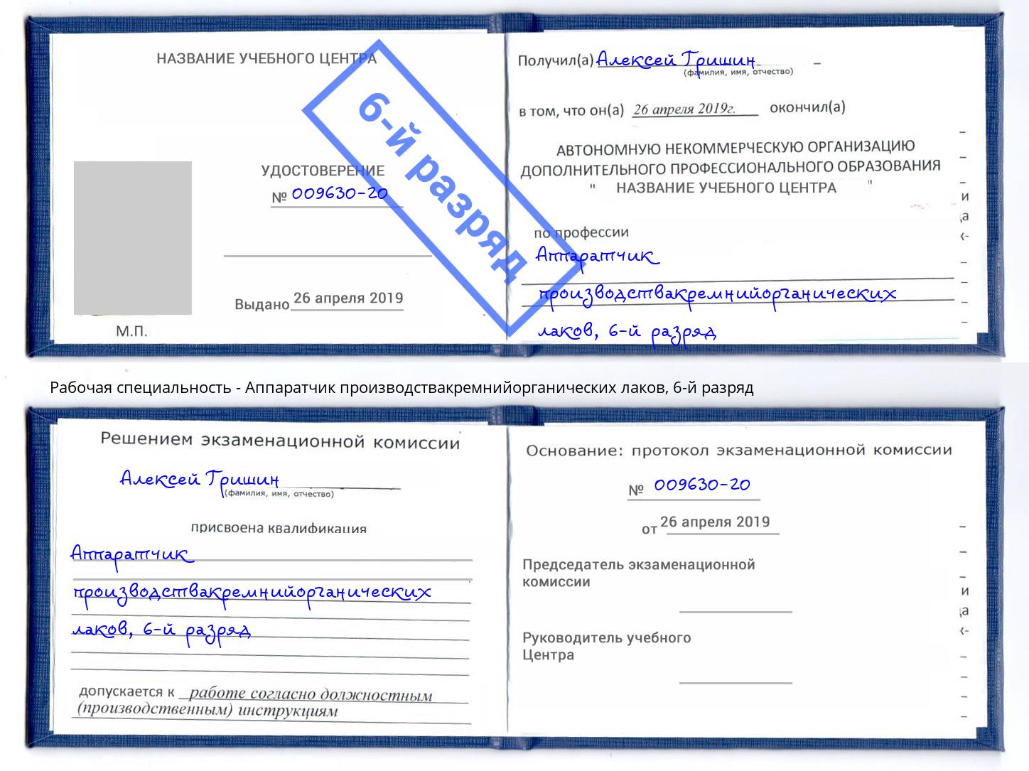 корочка 6-й разряд Аппаратчик производствакремнийорганических лаков Сердобск